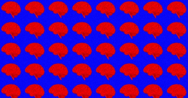 Lab-Grown Brain Organoids in Space Emit Preterm-Like Brain Waves