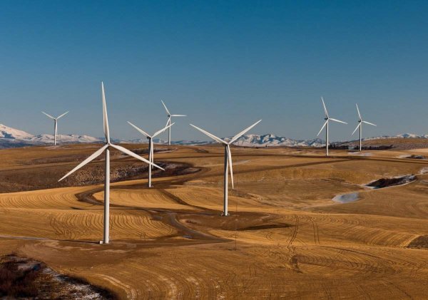 Alphabet's Malta Project Aims to Rival Tesla in Grid Battery Market