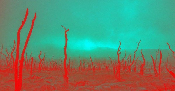JP Morgan's Internal Report Warns of Climate-Driven Market Shock