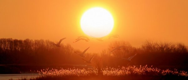Oklahoma Town Hits 100&deg;F in Winter, Shattering Daily Record and Sparking Fire Ban